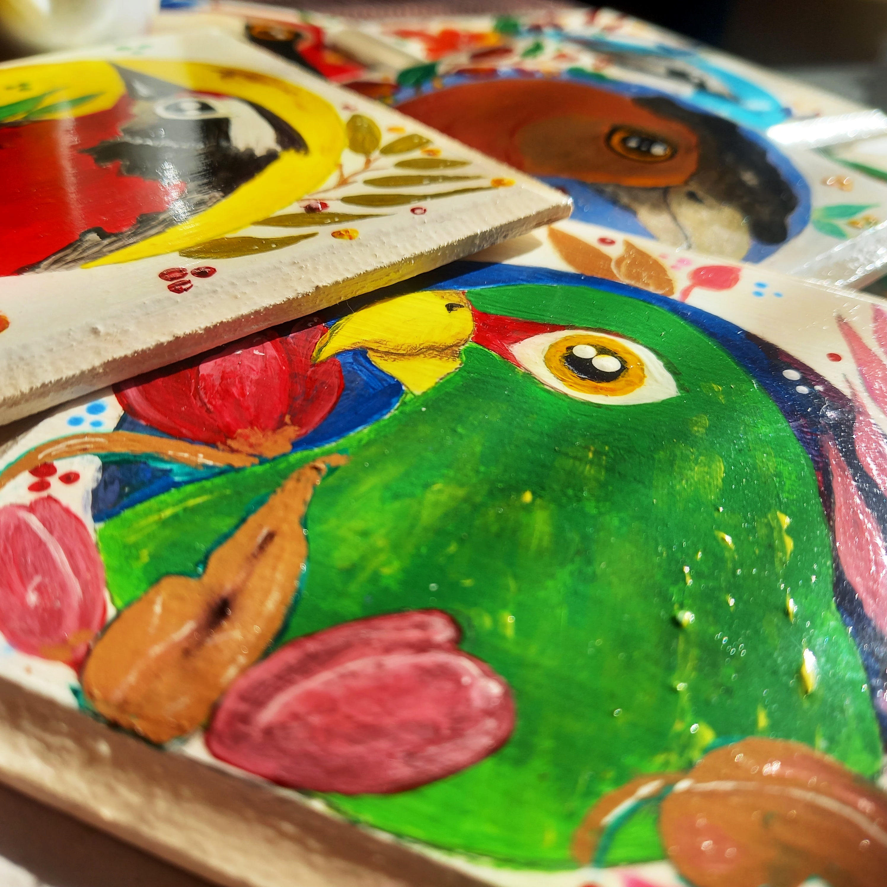 Posavasos Aves Chilenas