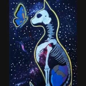 Transparencia Cósmica