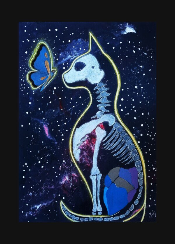 Transparencia Cósmica